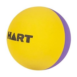 HART High Bounce Ball - Purple/Yellow