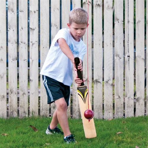 HART Cricket Ball on String